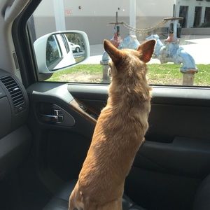 Meet your Posher, Michelle